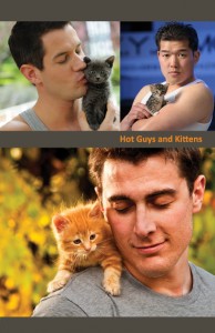 Hot Guys and Kittens